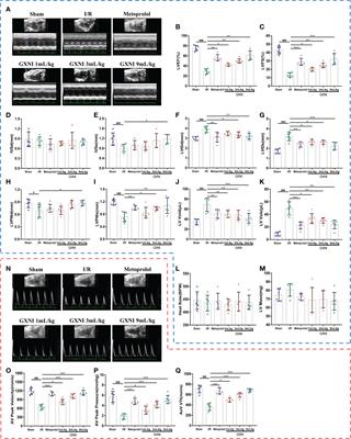 CXCR1 and its downstream NF-κB inflammation signaling pathway as a key target of Guanxinning injection for myocardial ischemia/reperfusion injury